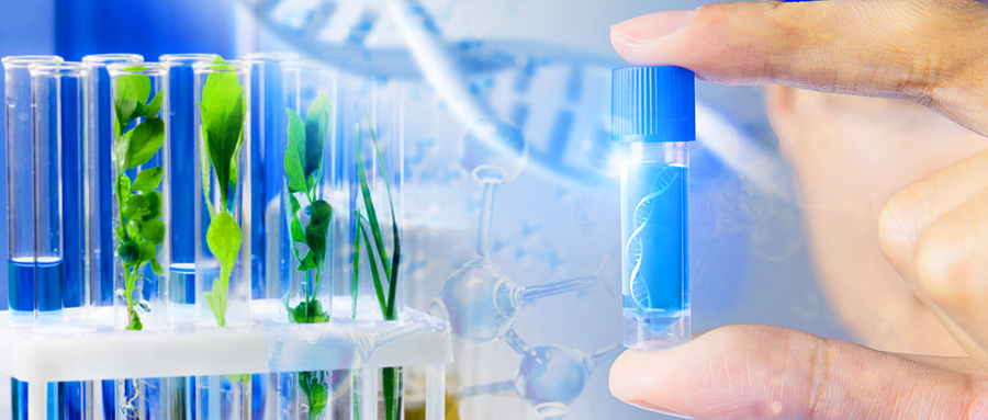 植物組織類樣本DNA提取完整解決方案